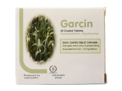 Garcin 300 mg